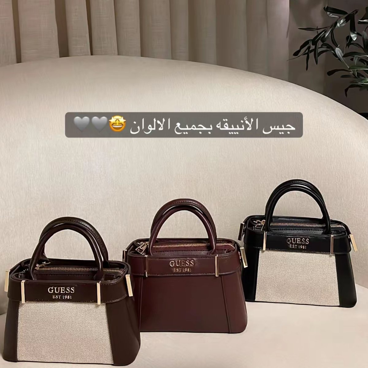 شنطهgus
